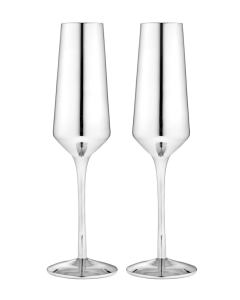Aurora Silver Champagne Glass - Set of 2