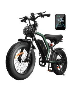 48km/h 20“ Off-Road Tire Removal Battery Electric Bike Dirt Bike K6