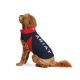 ariat-team-softshell-dog-jacket---teamdog-accessoriesariatequestrian--29580124.jpg