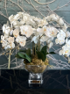 Cote Noire - Centrepiece Tall White Orchids
