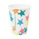 Eco Star Rainbow Cups