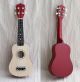 DS BS 21 inch Ukulele Basswood Acoustic Mini Guitar-Natural