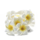 2m 20 LED Frangipani Flower Battery Fairy Lights - Warm White