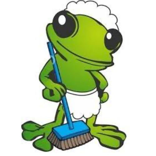Froggo's Laundry and Cleaning Services