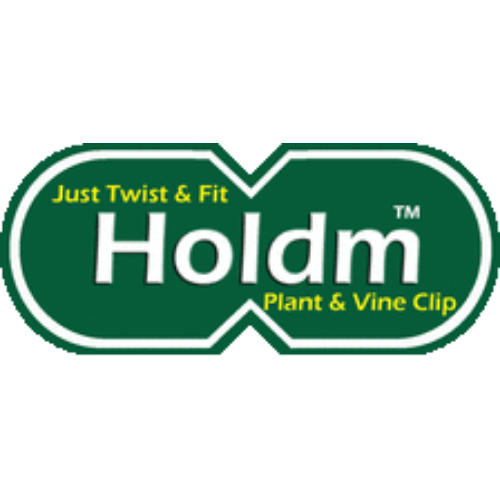 Holdm International Ltd